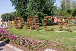В Омске открылась 61-я выставка «Флора»