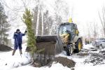 На 2016 год в рамках компенсационного озеленения в Омске запланировано высадить около 3 000 деревьев ценных пород