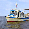 Web Content Image
