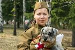 Кинологи демонстрируют «профессии» собак в годы войны