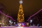 Большой нарядной елкой встречает парк имени 30-летия ВЛКСМ