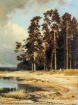 Forest. I. Shishkin. 1885. Canvas, oil