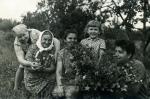 Три поколения омских цветоводов. Удивительной красоты цветы выращивают сибиряки