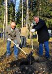 Заместитель мэра Владимир Куприянов посадил своё очередное дерево
