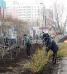 Стрижка живой изгороди