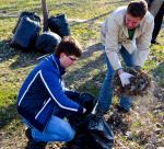 Новая мера объема: 1 мешок — 20 охапок