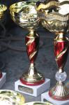 Трофеи студенческих команд