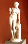 无名的雕塑家从托瓦尔森原作品维纳斯与苹果第十九世纪大理石