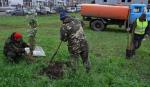 Работы по посадке новых зеленых насаждений проводили специалисты окружных управлений благоустройства