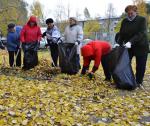 В субботнике активно принимали участие представители комитетов территориального общественного самоуправления