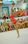 Показательное выступление