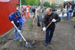Высадили деревья и кустарники