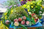 Персики и виноград, выращенные в Сибири