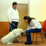 Добрый Пух с удовольствием даст лапу любому желающему