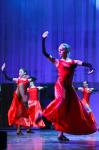 «Свободное танго» продемонстрировал  народный ансамбль эстрадного танца «Премьера», руководитель Татьяна Уманец