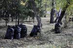 Осенний месячник чистоты в Омске продлится до 16 октября