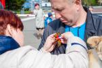 Современная атрибутика праздника