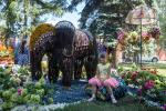 Слон, по всей видимости, переносит гостей в Индию