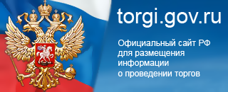 torgi.gov.ru — официальный сайт Российской Федерации для размещения информации о проведении торгов