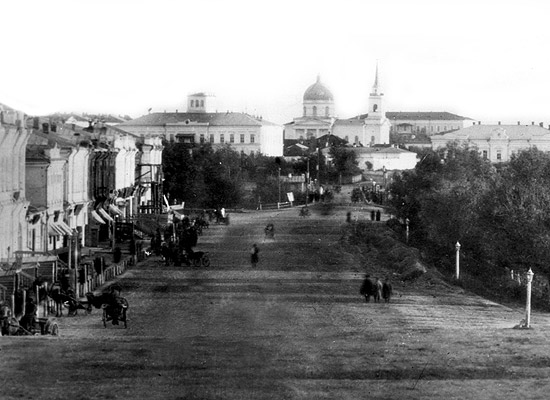 Вид города Омска, 1884 год