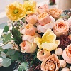 Web Content Image