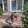 Web Content Image
