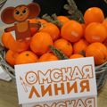 Портал администрации города Омска. Миниатюра новости.