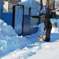 Web Content Image