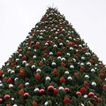 Web Content Image