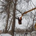 Портал администрации города Омска. Миниатюра новости.