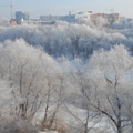 Портал администрации города Омска. Миниатюра новости.