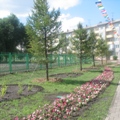 Портал администрации города Омска. Миниатюра новости.