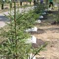 Портал администрации города Омска. Миниатюра новости.