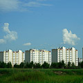 Web Content Image